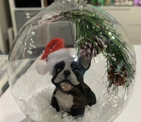 04-Snow Globe Ornaments